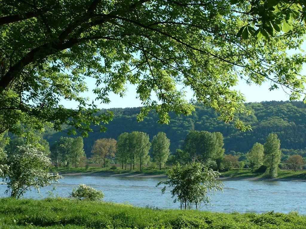 Zur Rheinschanz Bad Honningen Exterior photo